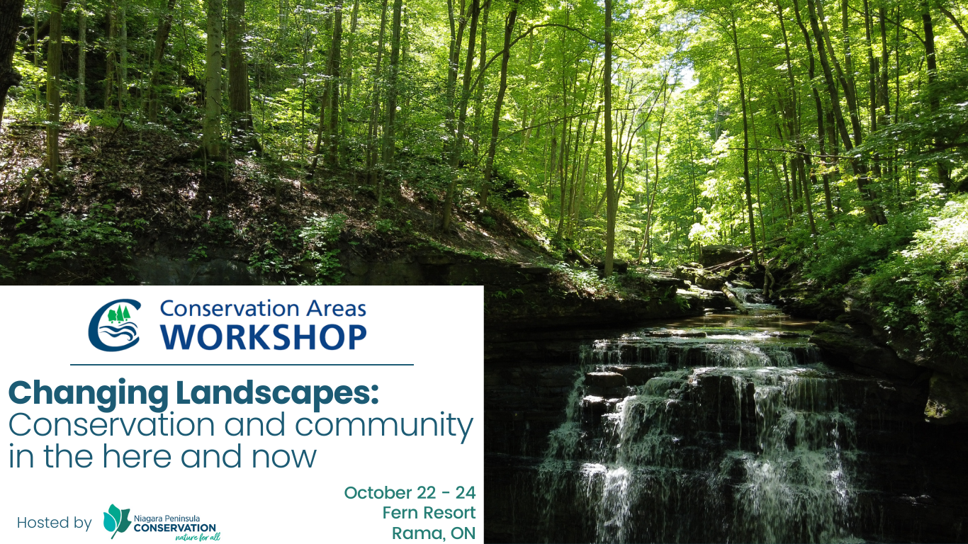 About — Conservation Areas Workshop