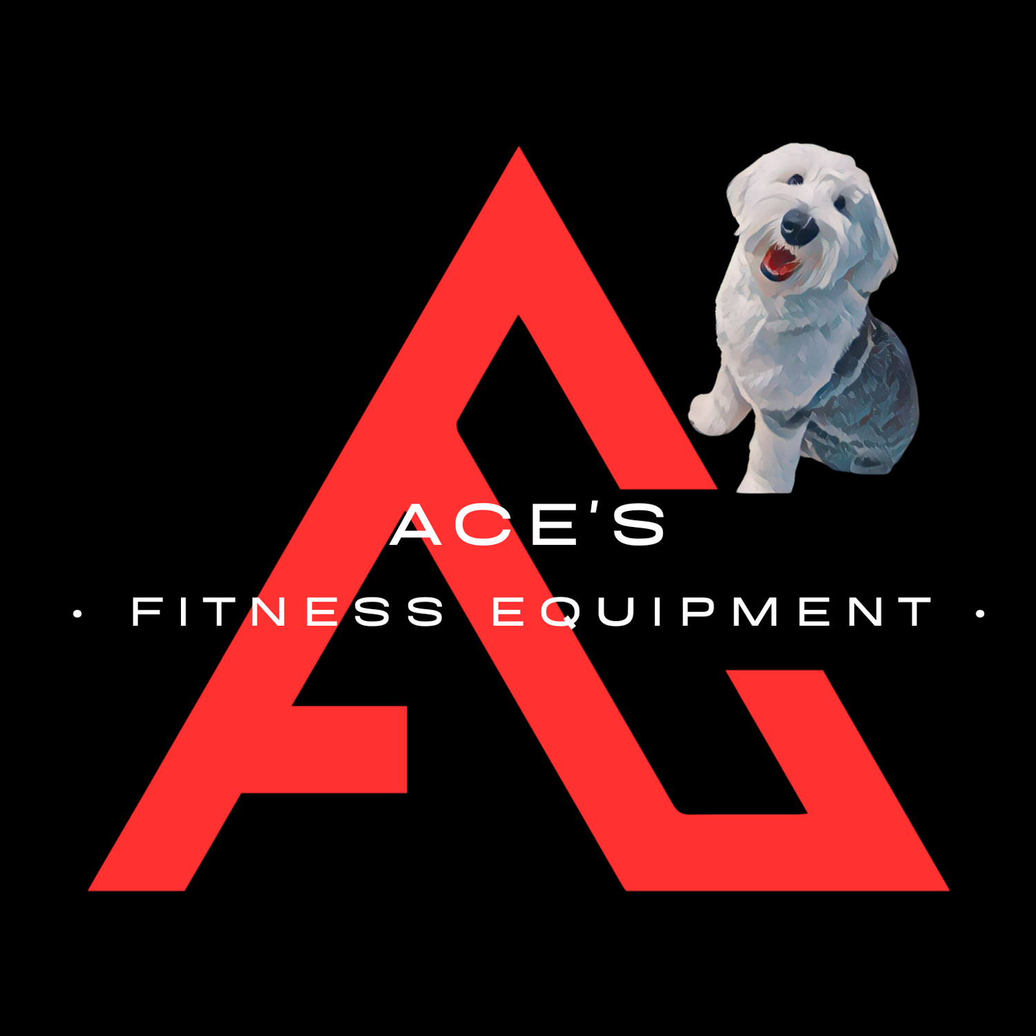 Ace&#39;s Fitness Equipment
