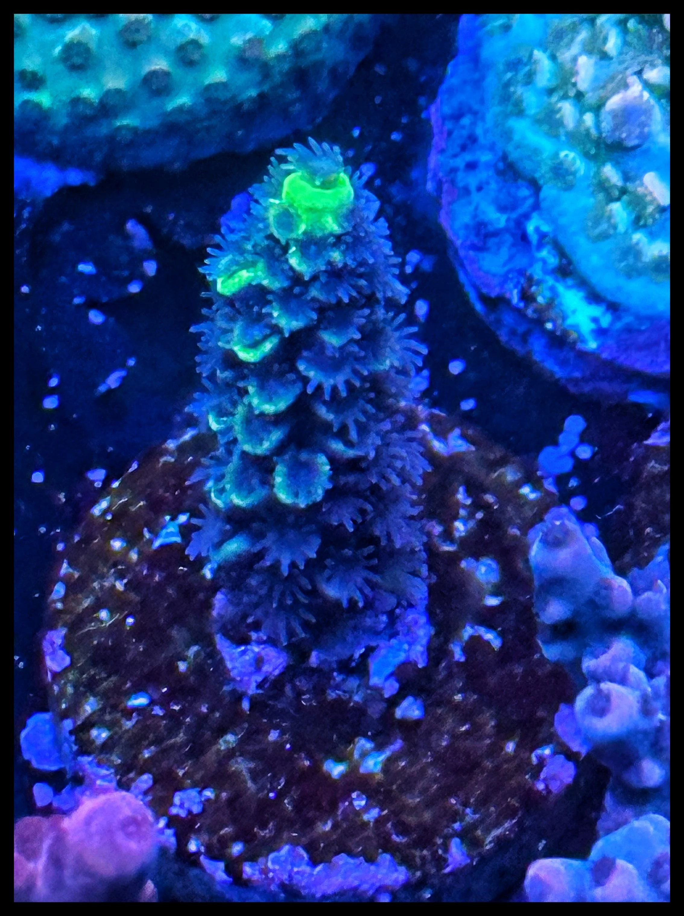 IMG_4703_SnapseedCopy 2.jpg