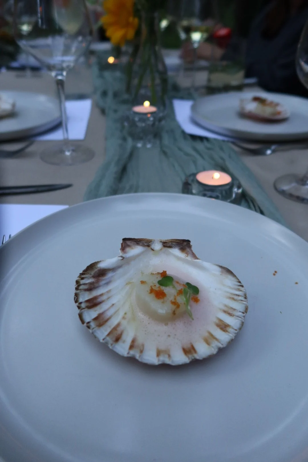 Scallop: dashi, grapefruit foam, grapefruit zest, microgreens