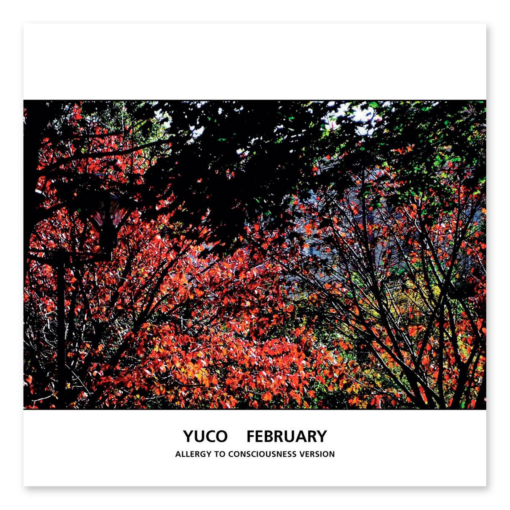 February (Allergy To Consciousness Version) by Yuco.jpg