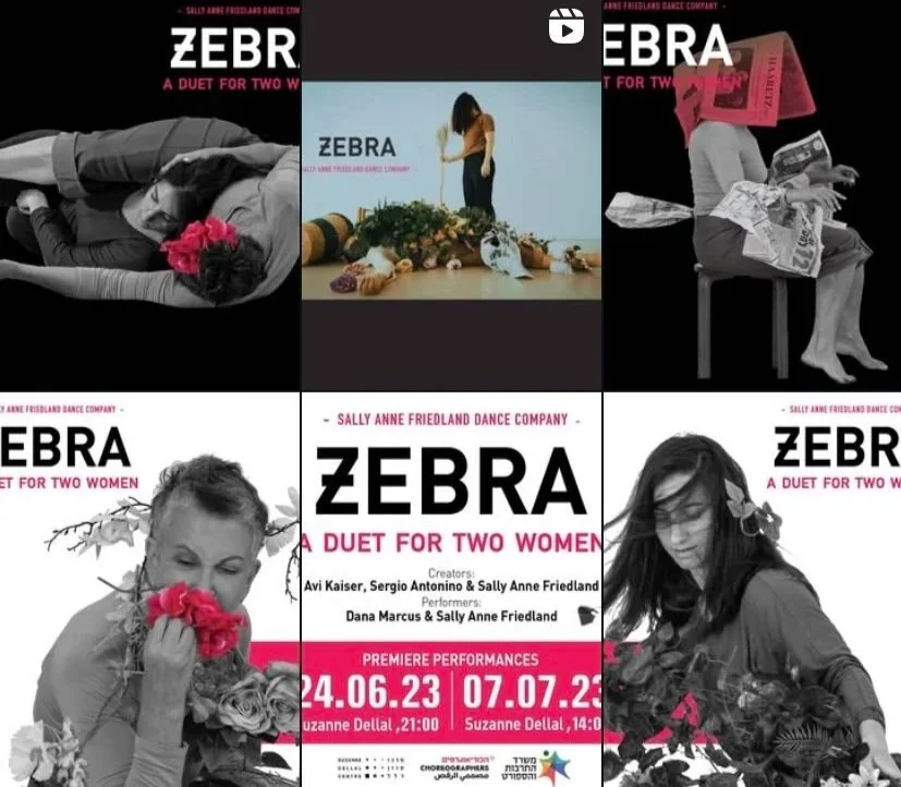 Collage of promotional images and posters for dance performances titled 'Zebra: A Duet for Two Women' featuring creative team Avi Kaiser, Sergio Antonino, and Sally Anne Friedland, performed by Dana Marcus and Sally Anne Friedland, with show dates in June and July 2023.