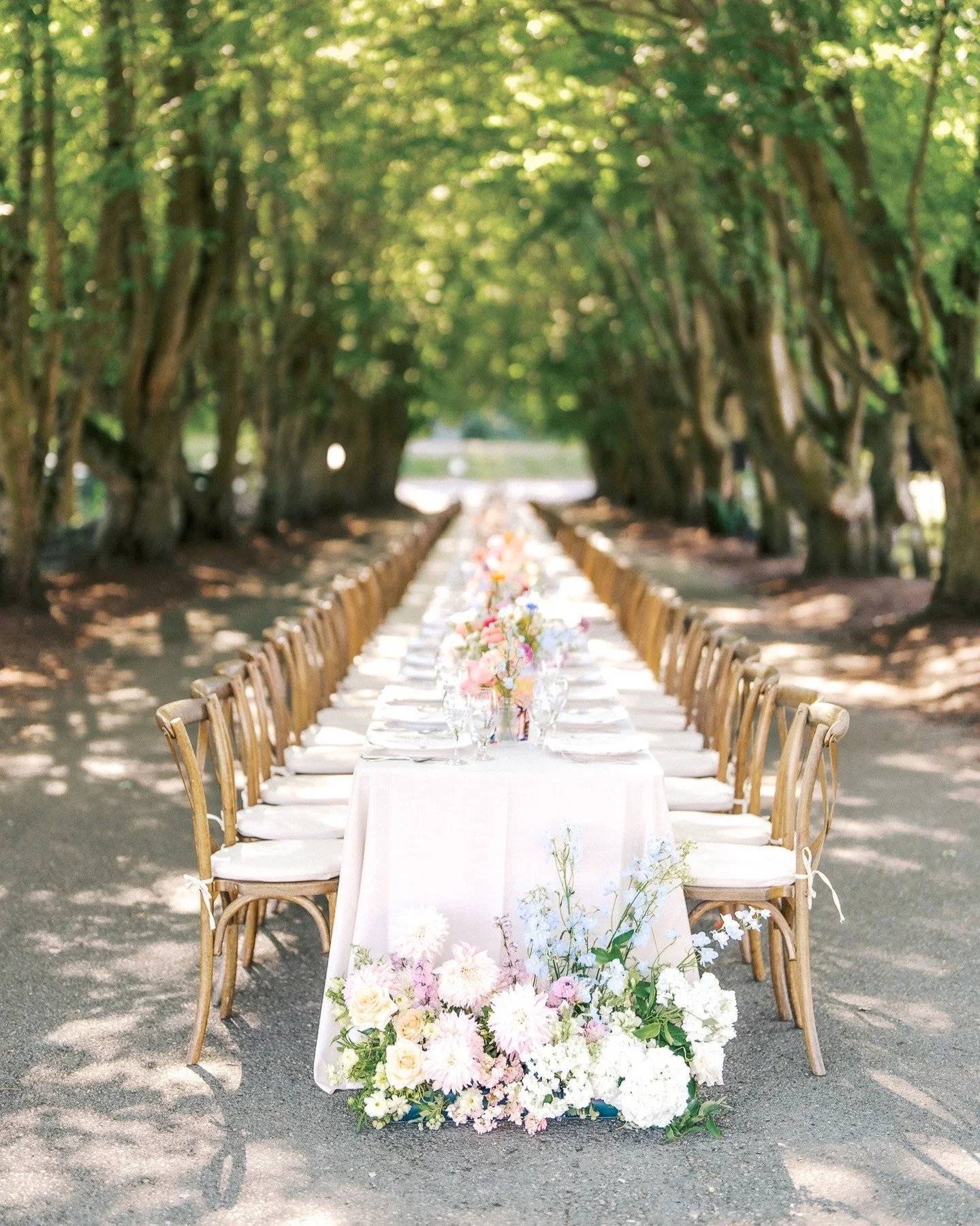 A romantic summer celebration at the Maplehurst Farm estate mansion 🤍
Surrounded by rolling fields, towering trees, and the timeless charm of this historic Mount Vernon property &mdash; every detail felt straight out of a dream.
From heartfelt vows 