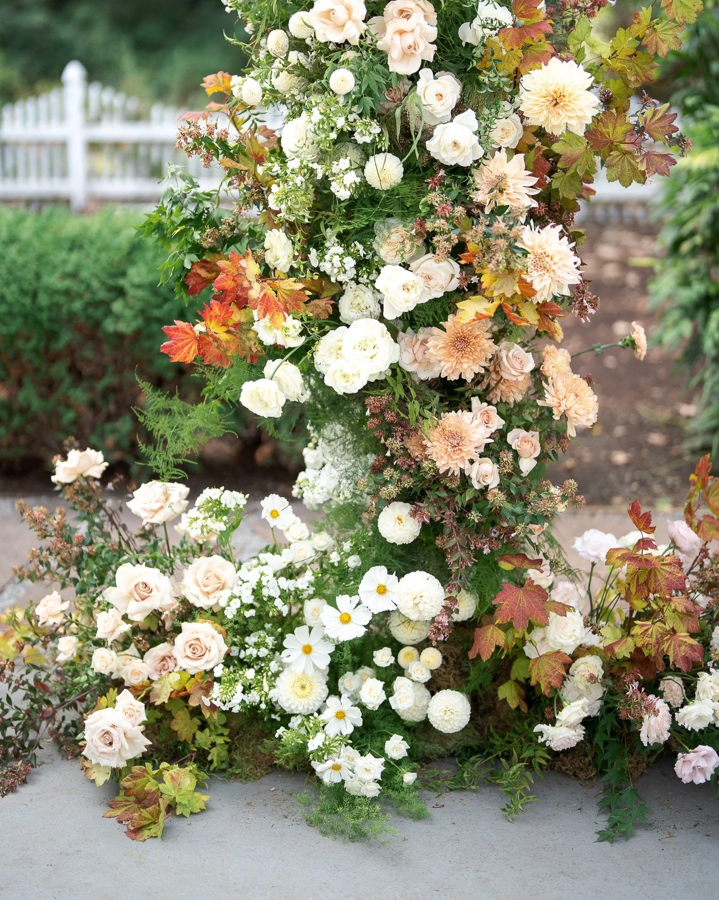 The warm, rich tones of these fall florals were everything 🍂💐
Deep reds, golden yellows, and soft rust tones added the perfect seasonal touch to this beautiful wedding day.
