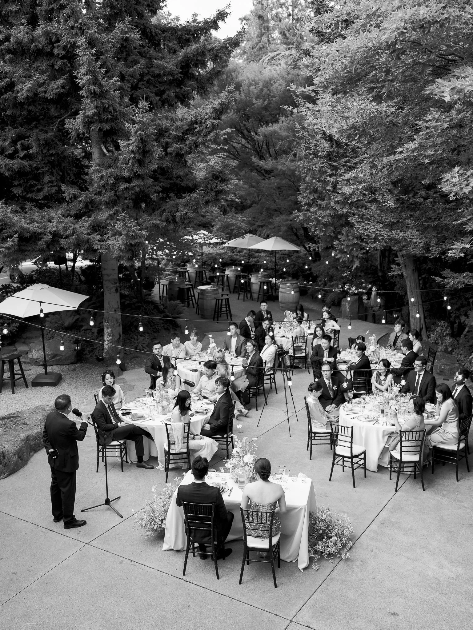 Wedding Photography Seattle