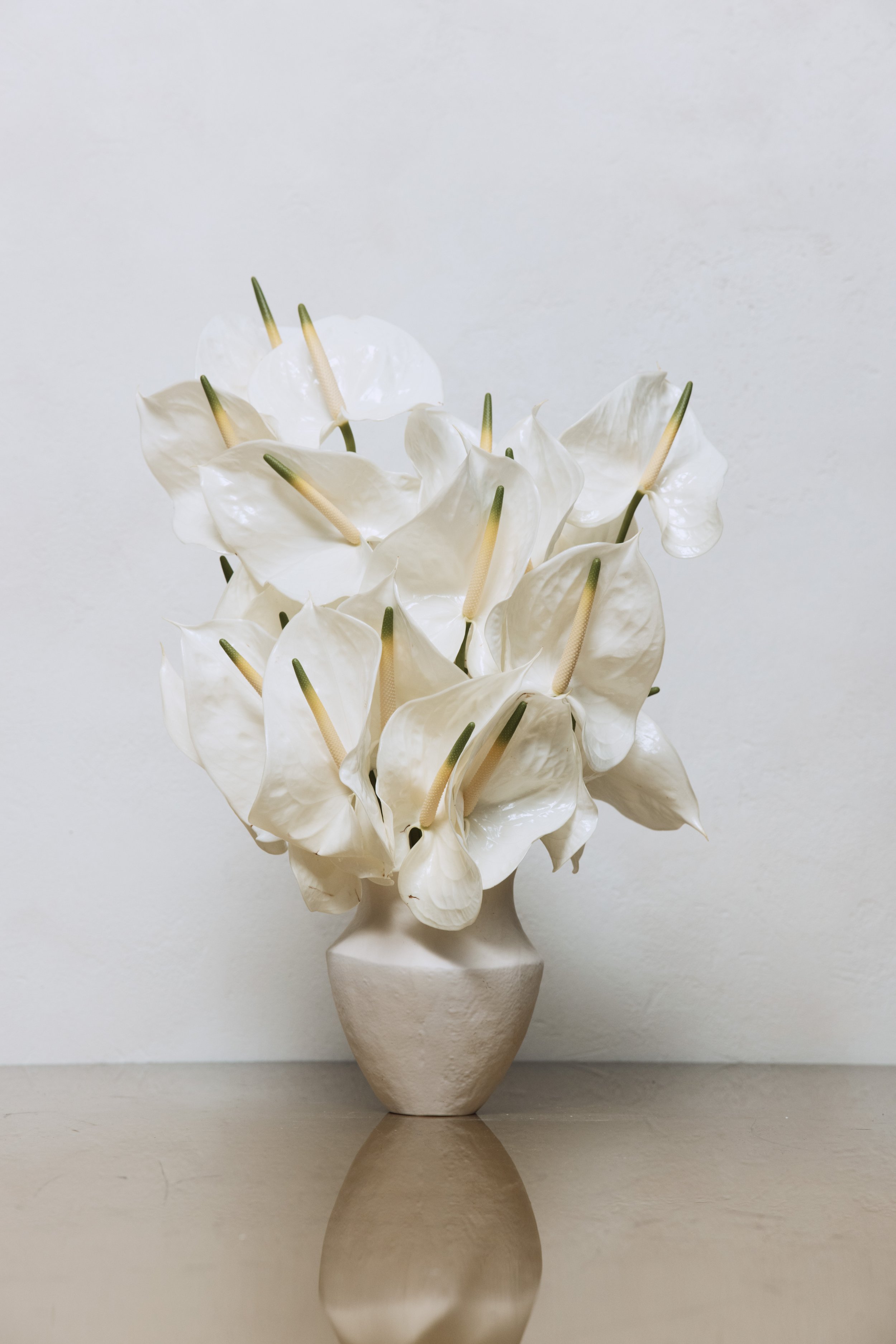 HOBBS_AW23_STLIFE01_004.jpg