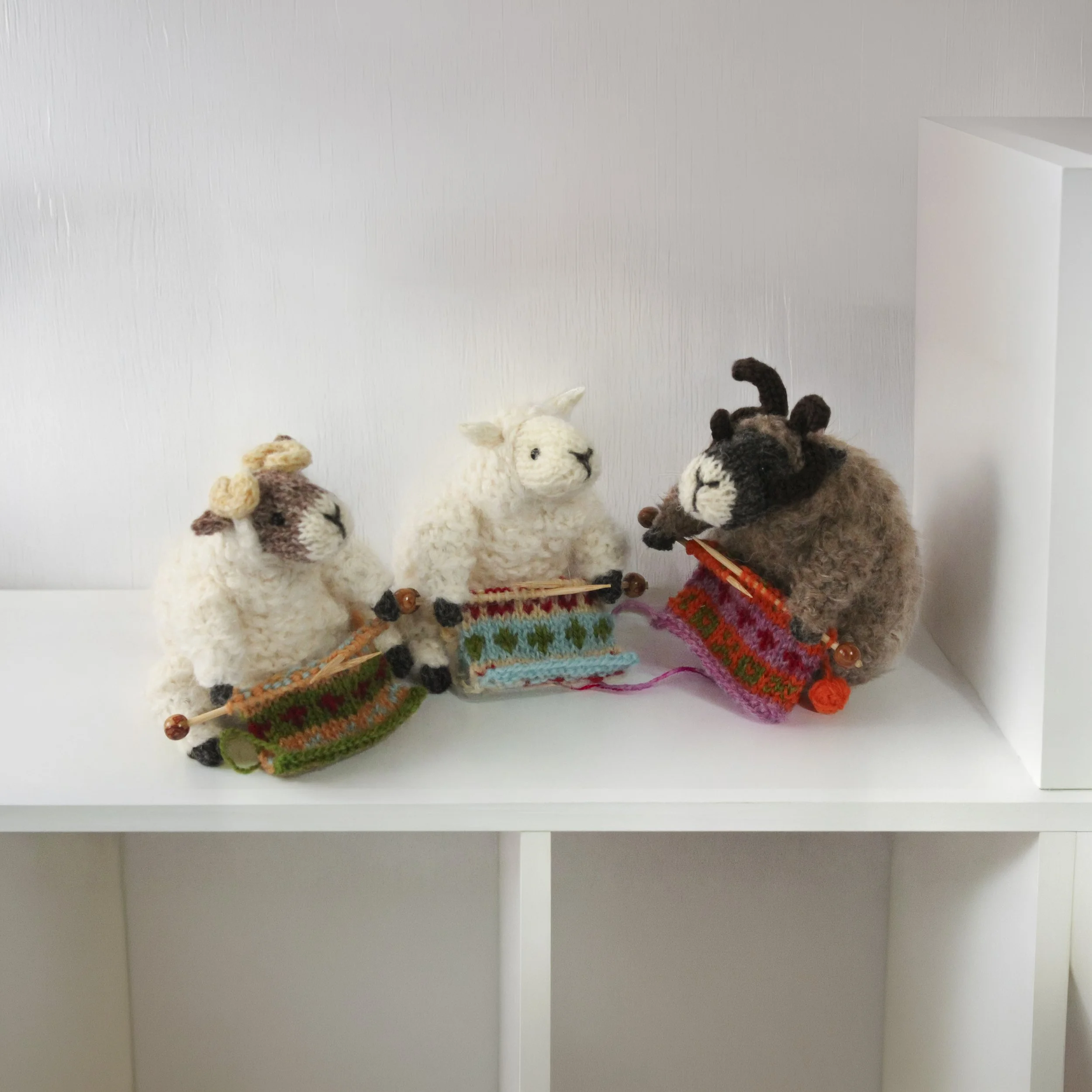 IMG_9800 copy.jpg2.jpg