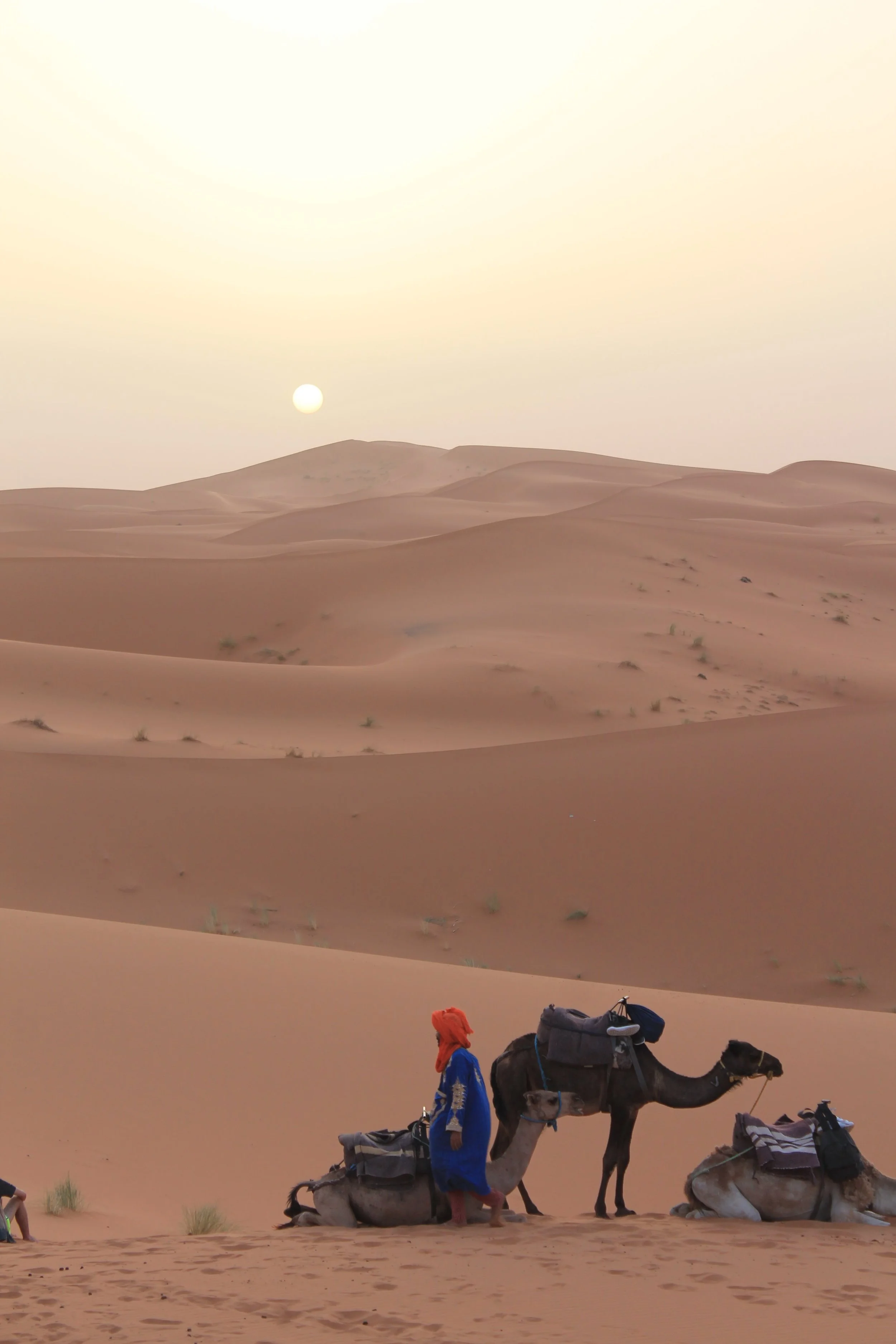 Dreaming of the Sahara — Indigo&Lavender