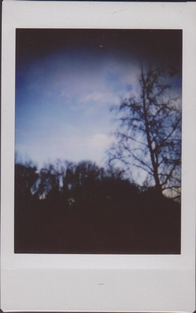 Scan 3.jpeg