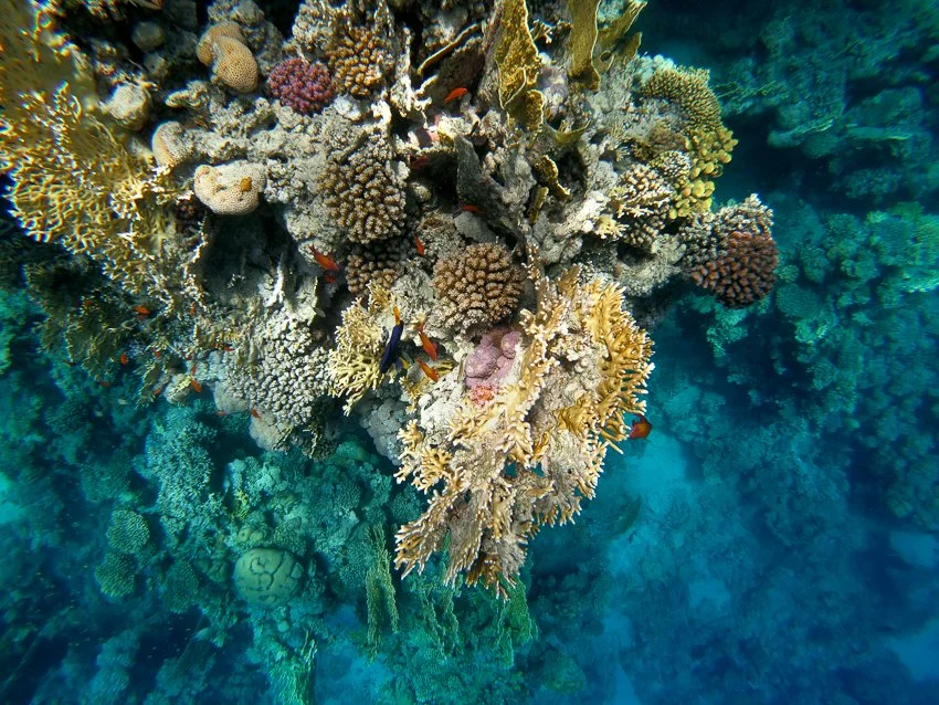 GOPR7590.jpg