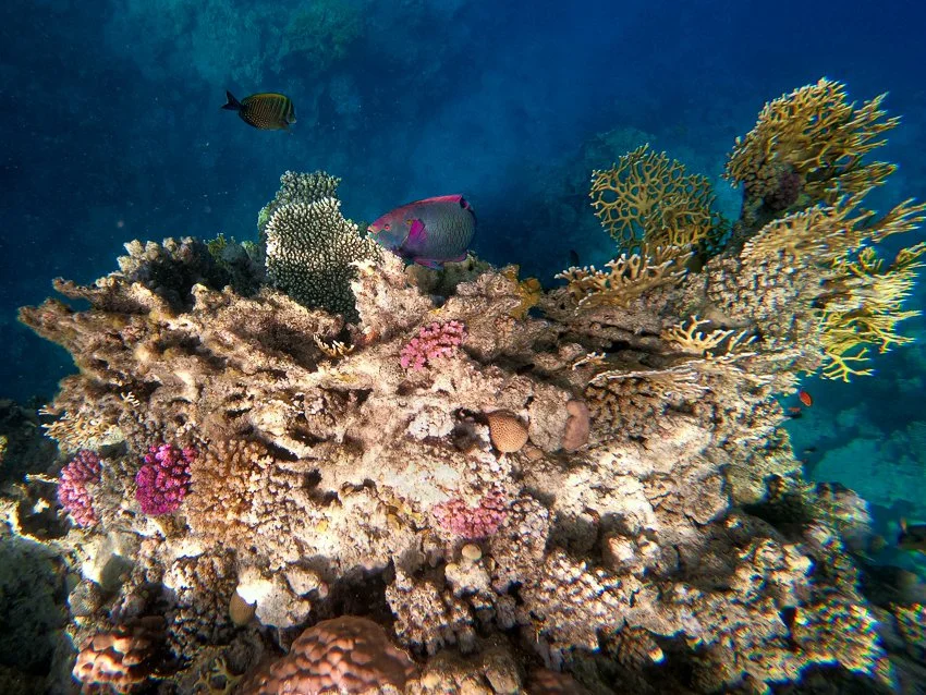 GOPR7583.jpg