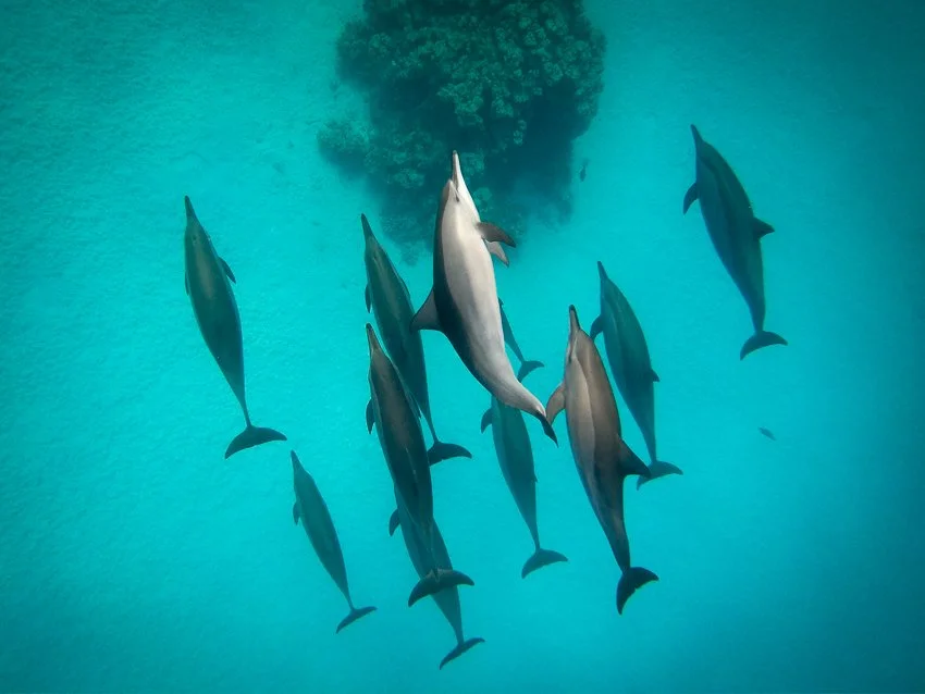 GOPR7339.jpg