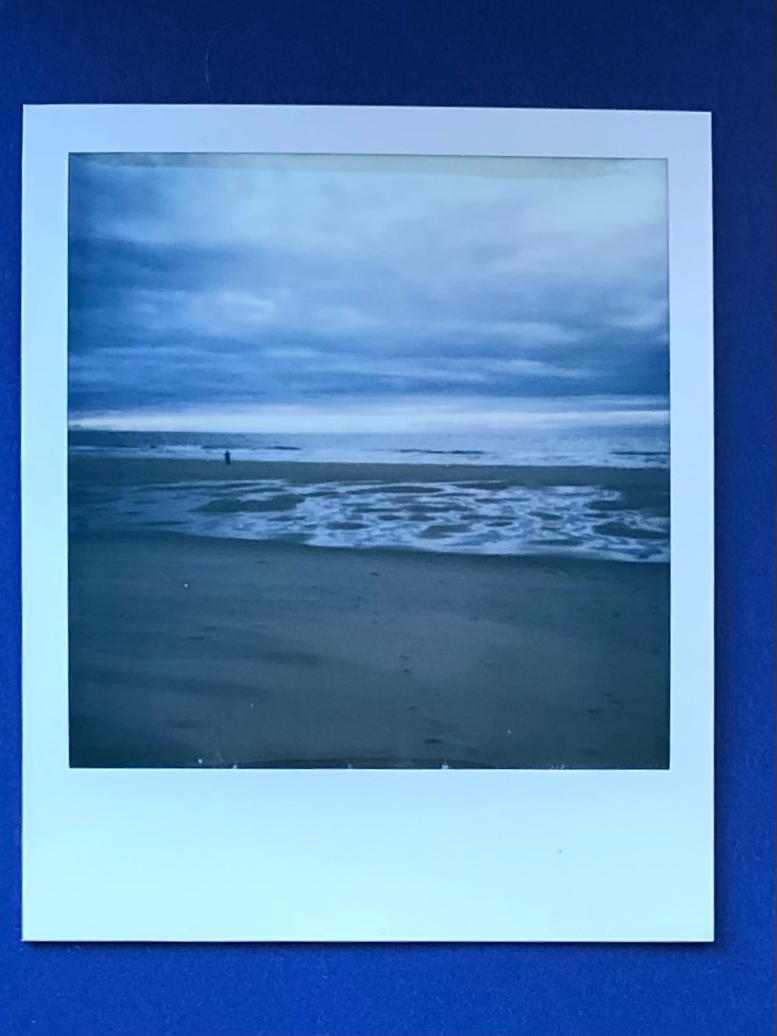 IMG_4431 3.png