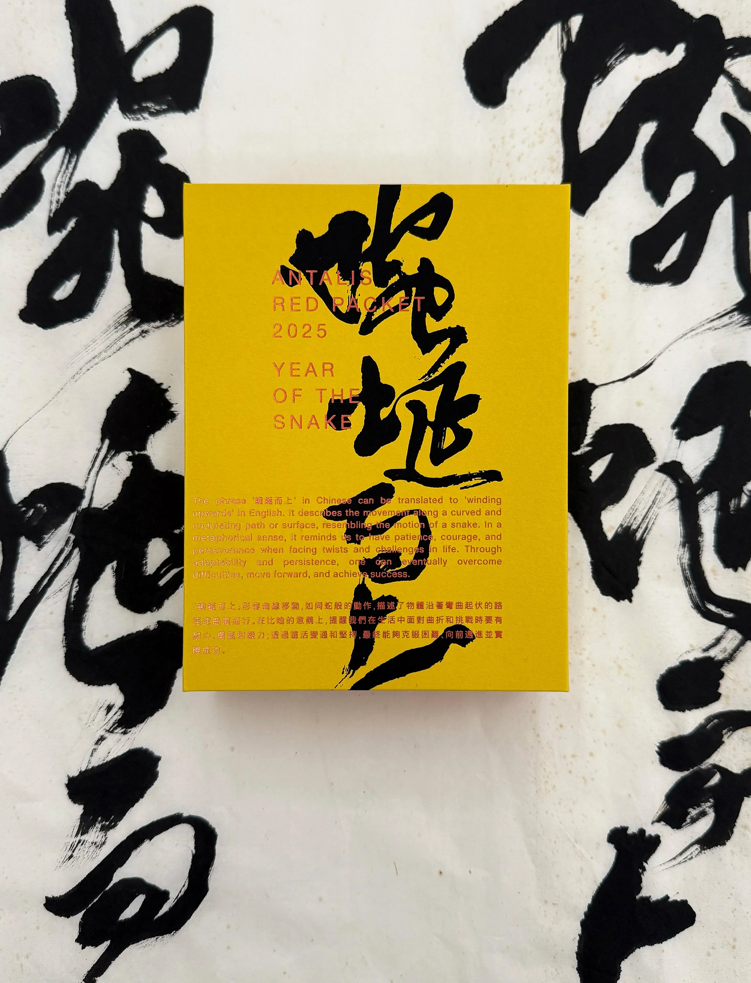 Red Packet_8.jpg
