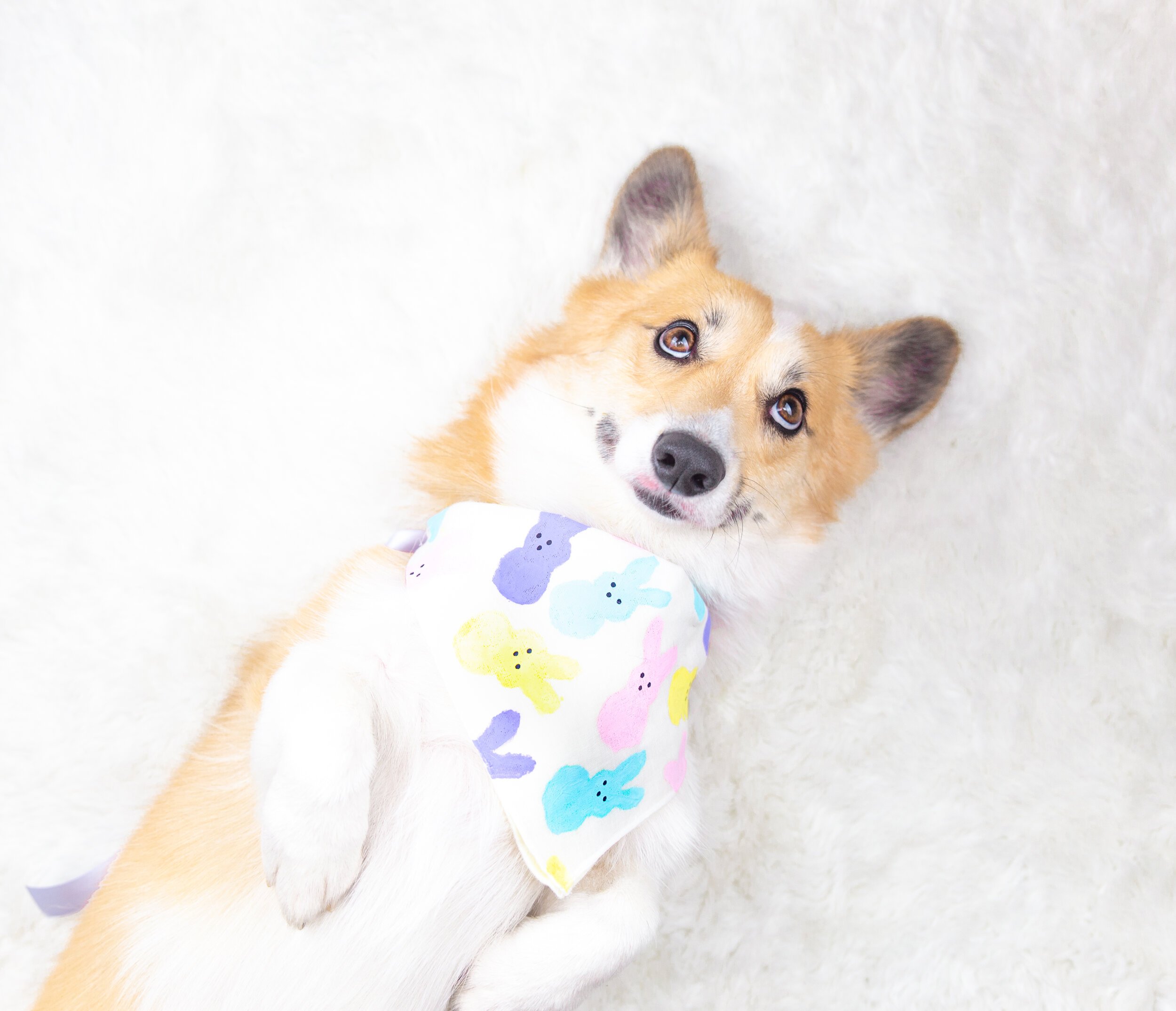 DIY+Peep+Print+Easter+Dog+Bandana.jpeg