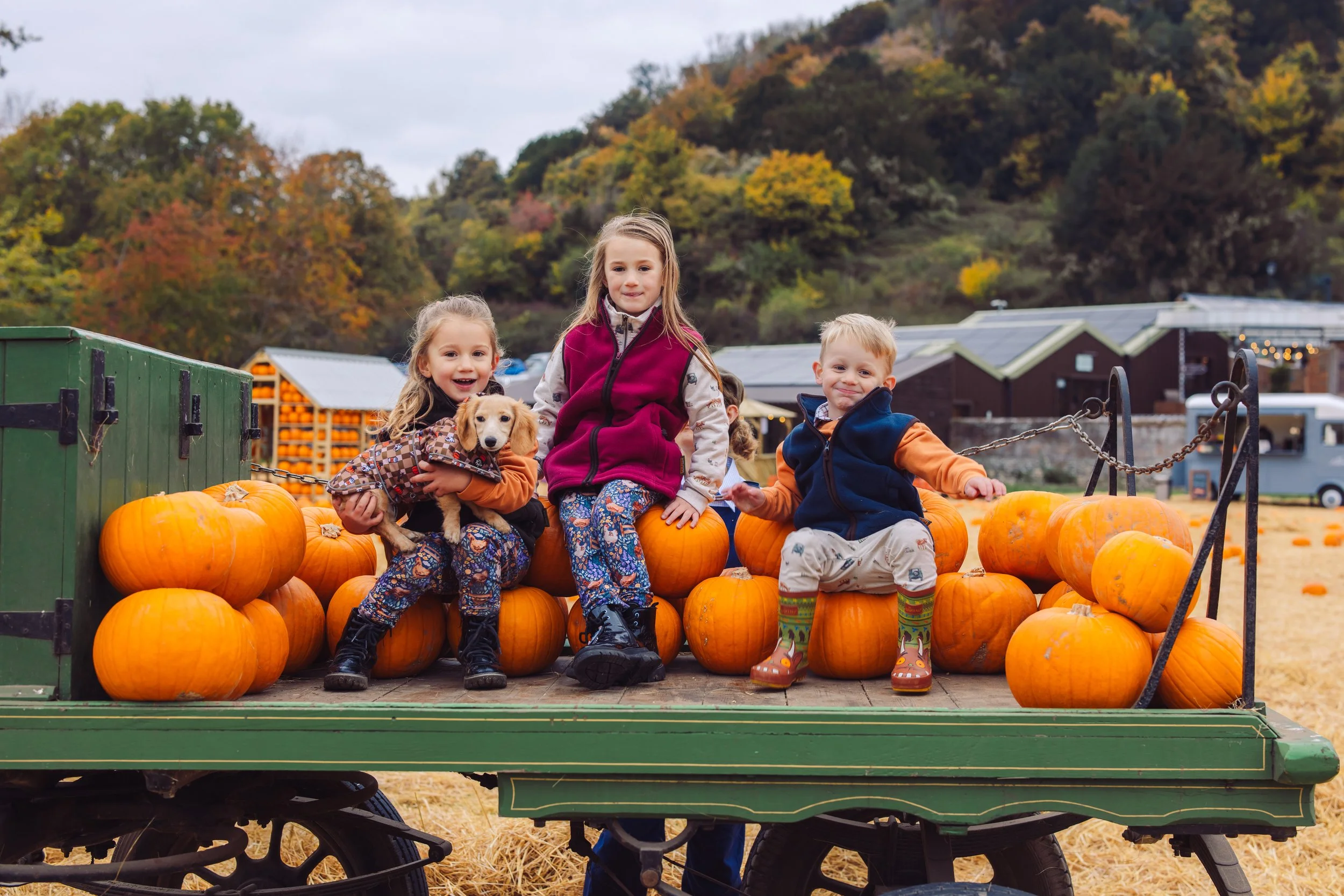 Pumpkin-Fest