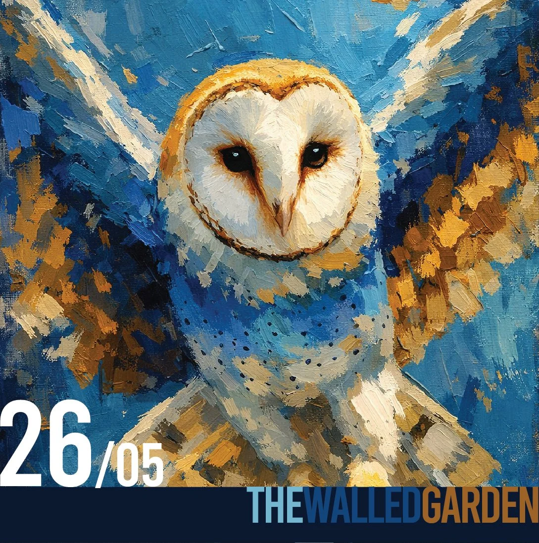 “Barn Owl” Family Painting Morning 9:30am at The Walled Garden