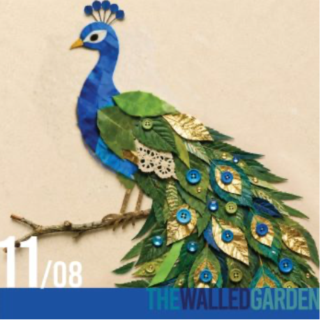 Peacock Collage Mini Makers 2pm