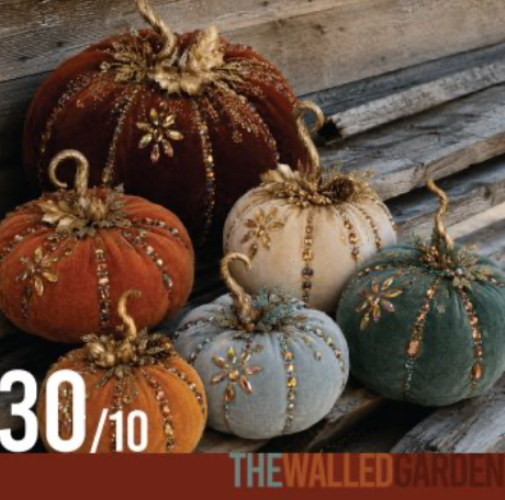 Plush Pumpkins Family Painting Workshop 9:30am