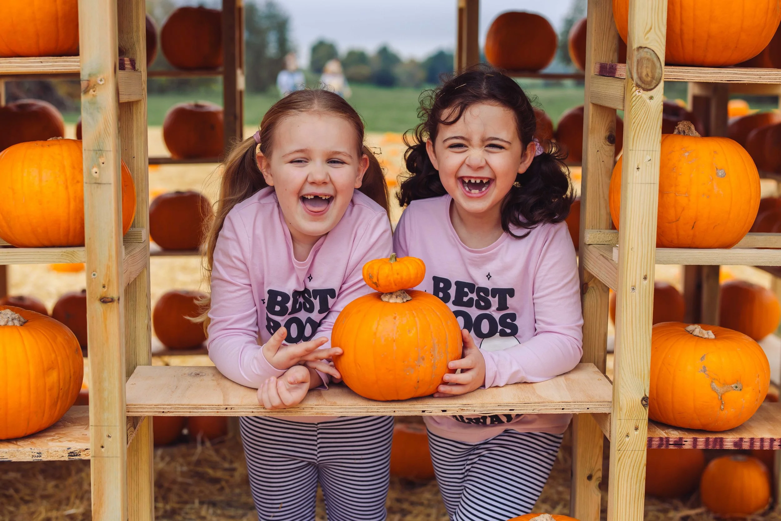Pumpkin Patch Mini Photoshoots