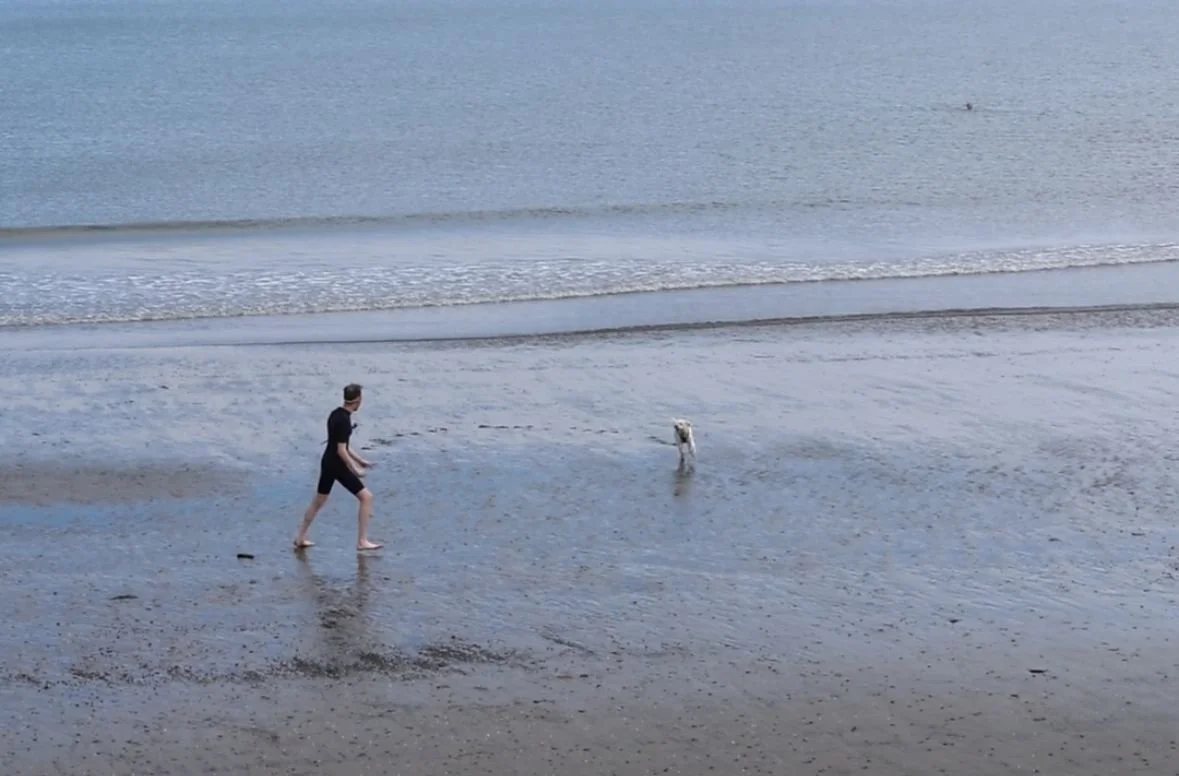 Graham Webster chases Polar the dog in a wetsuit at the beach by Newhaven.