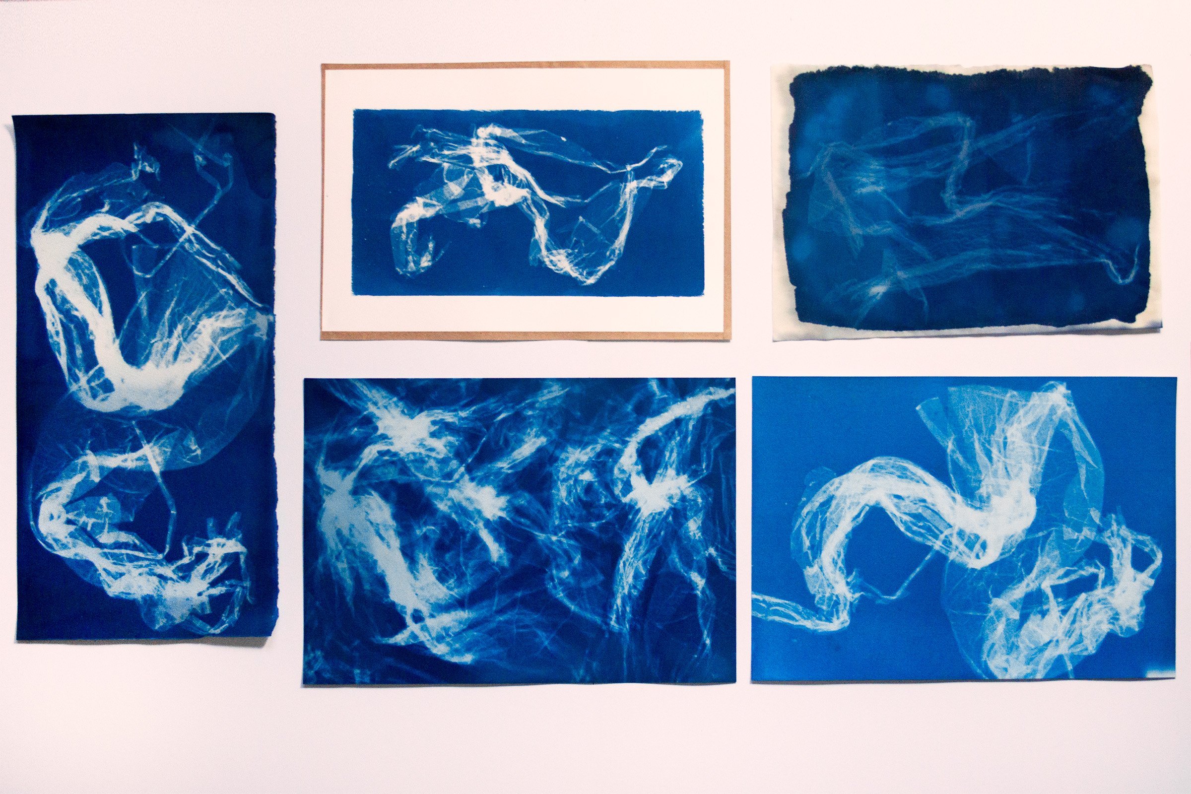 ‘Plastic Prints’, 2021, cyanotypes