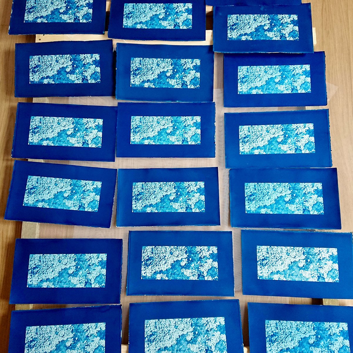 ‘Symbiont’, 2021, cyanotype variable edition of 25. 