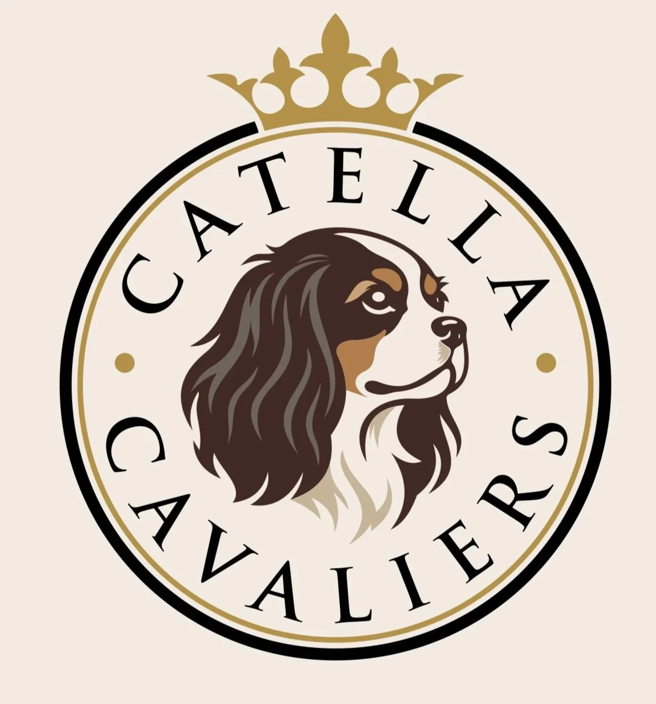 Catella Cavaliers