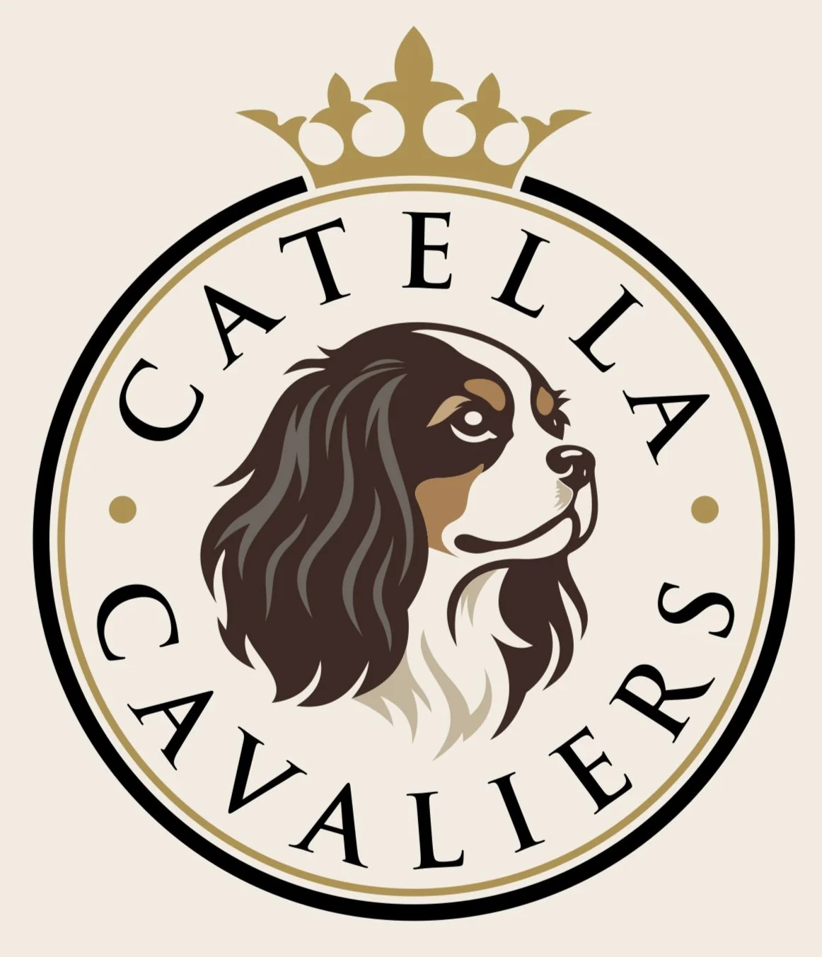 Catella Cavaliers