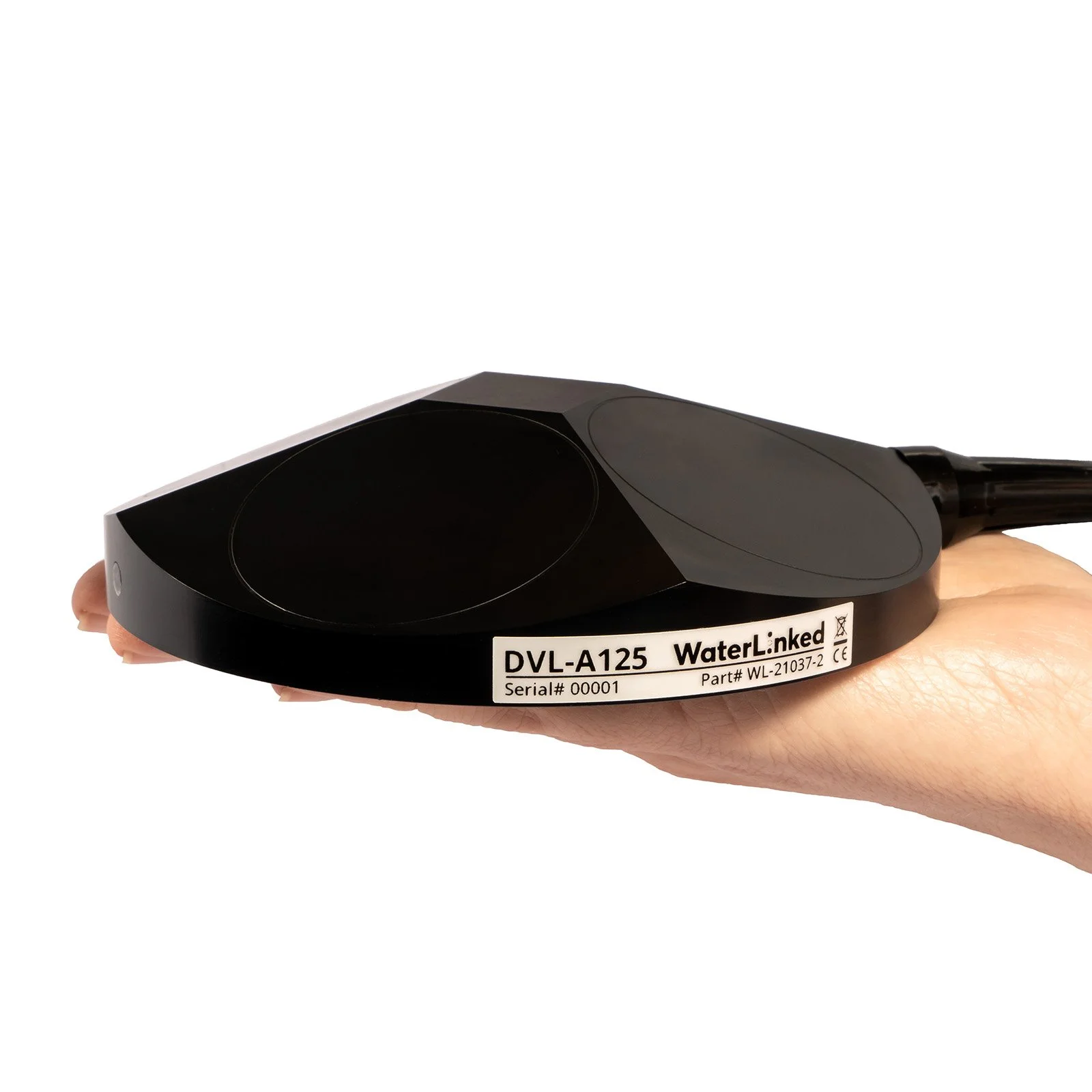 WL-21037-2_DVL-A125_InHand_1600.jpg