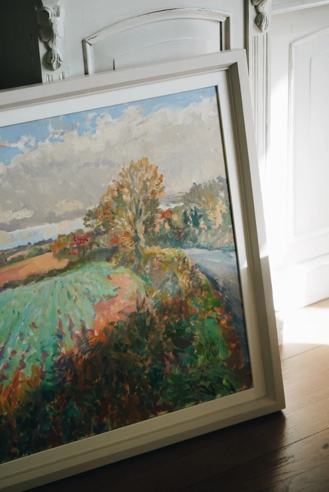 evening light across the fields | JOHN HARVEY
