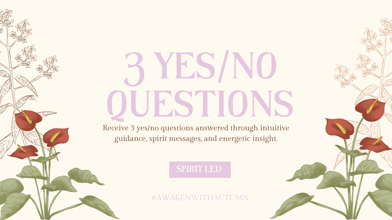 3 YESNO QUESTIONS-2.png