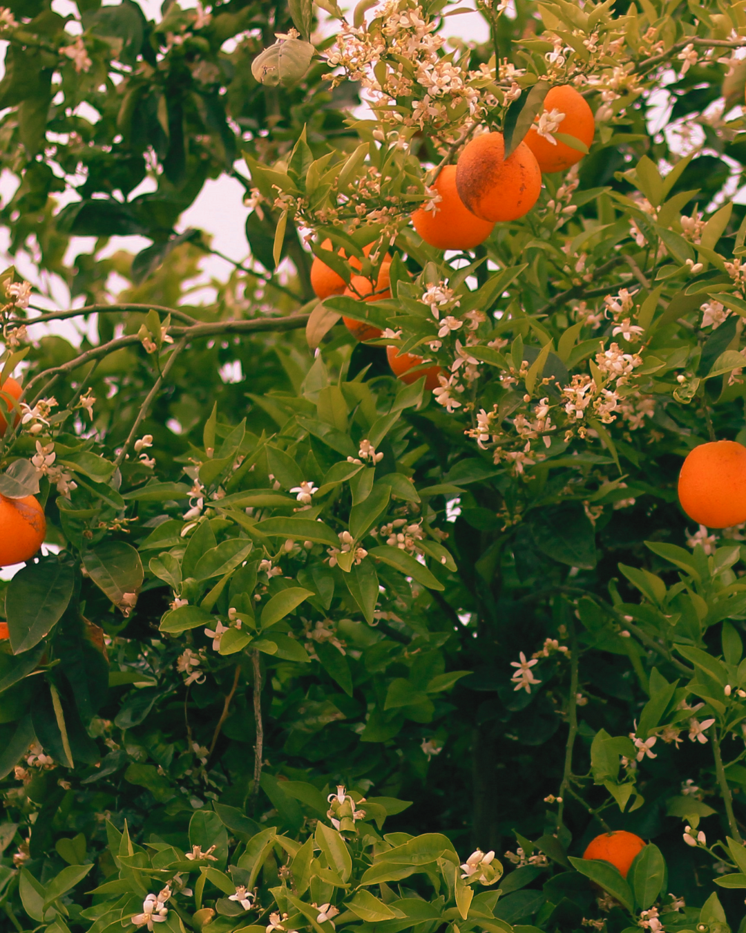 Ways to love yourself (that actually work)