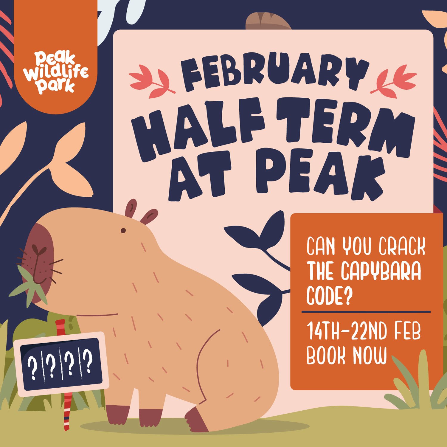 February Half Term