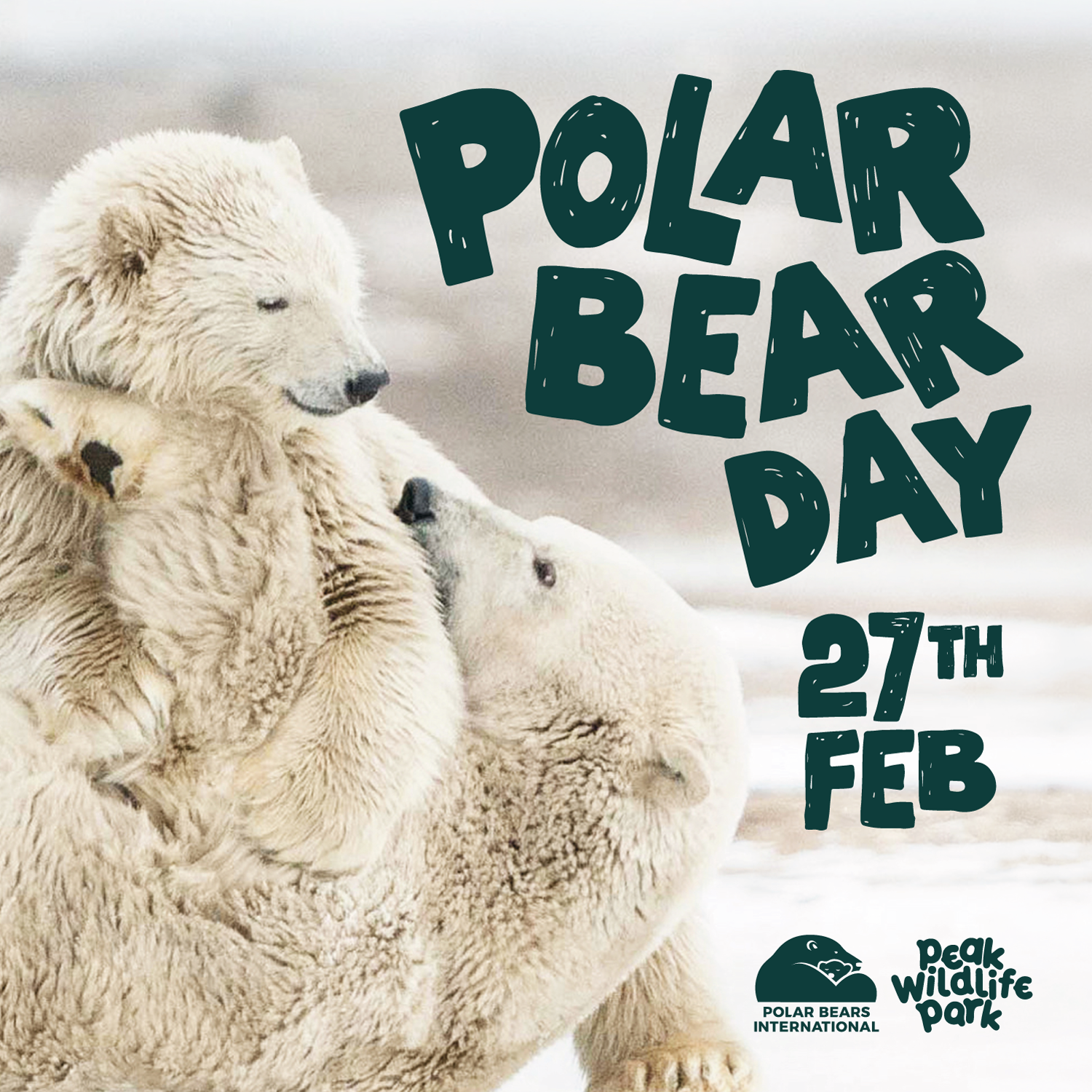 Polar Bear Day