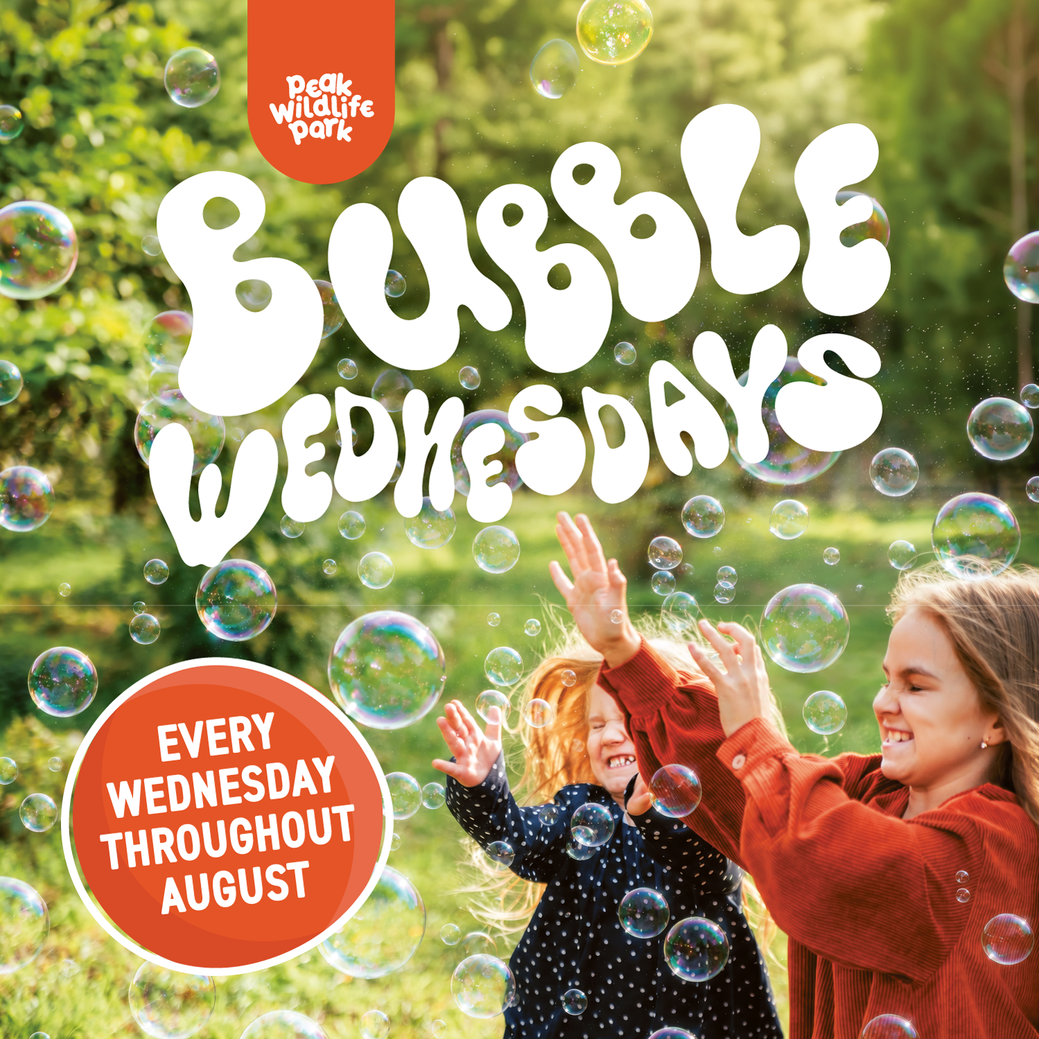 Bubble Wednesdays