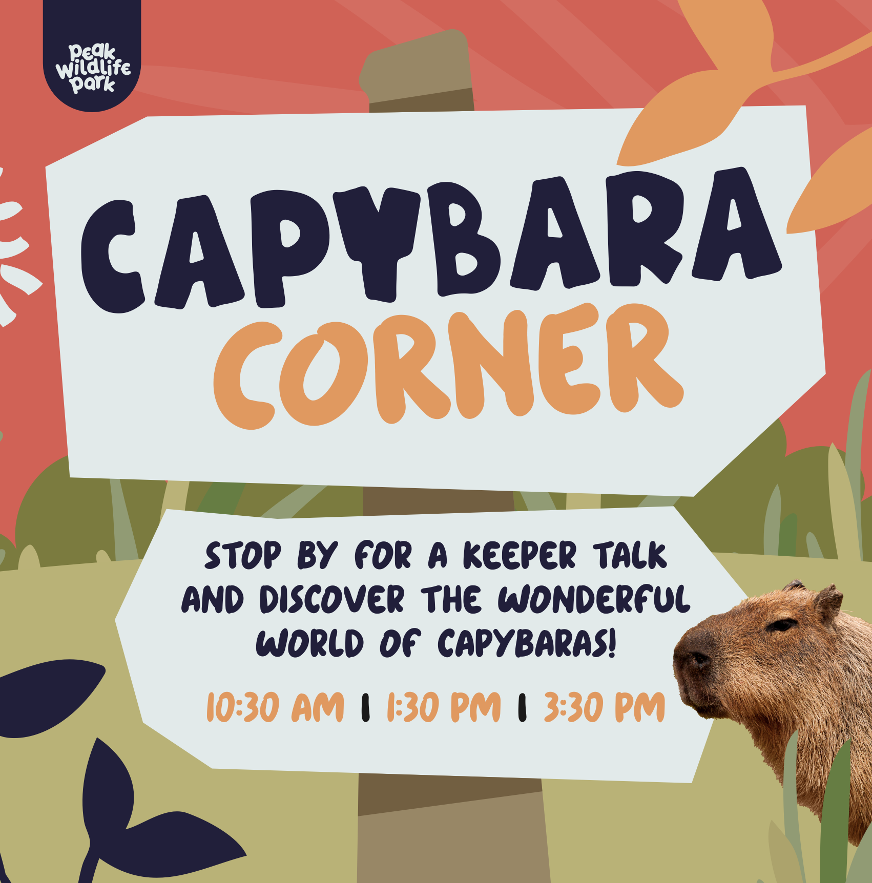 Daily Capybara Talks