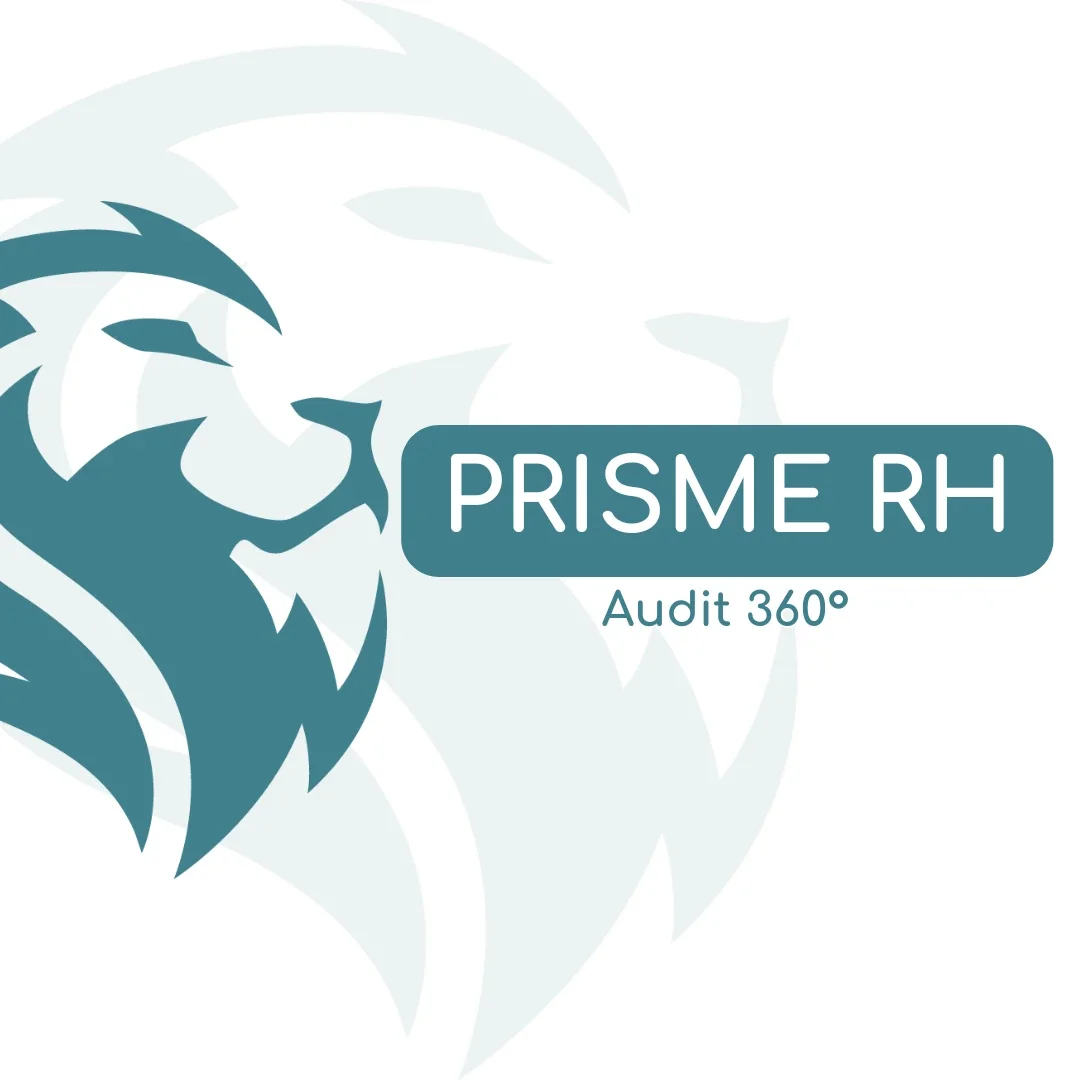 Visuel de l'accompagnement PRISME RH (audit 360°)