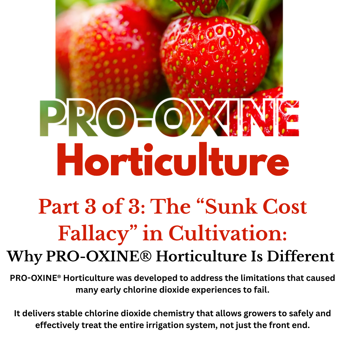Part 3 of 3: The “Sunk Cost Fallacy” in Cultivation: Why PRO-OXINE® Horticulture Is Different
