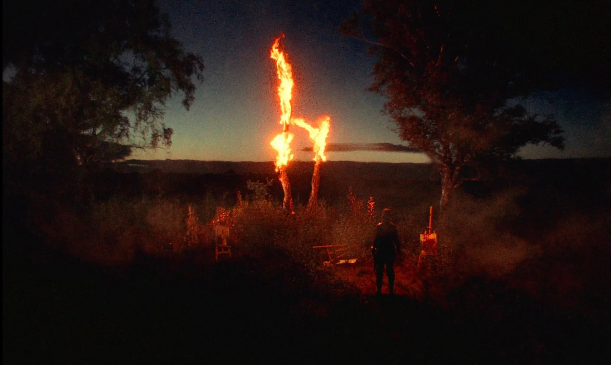 Daisy Bellis - Funny | Gaffer