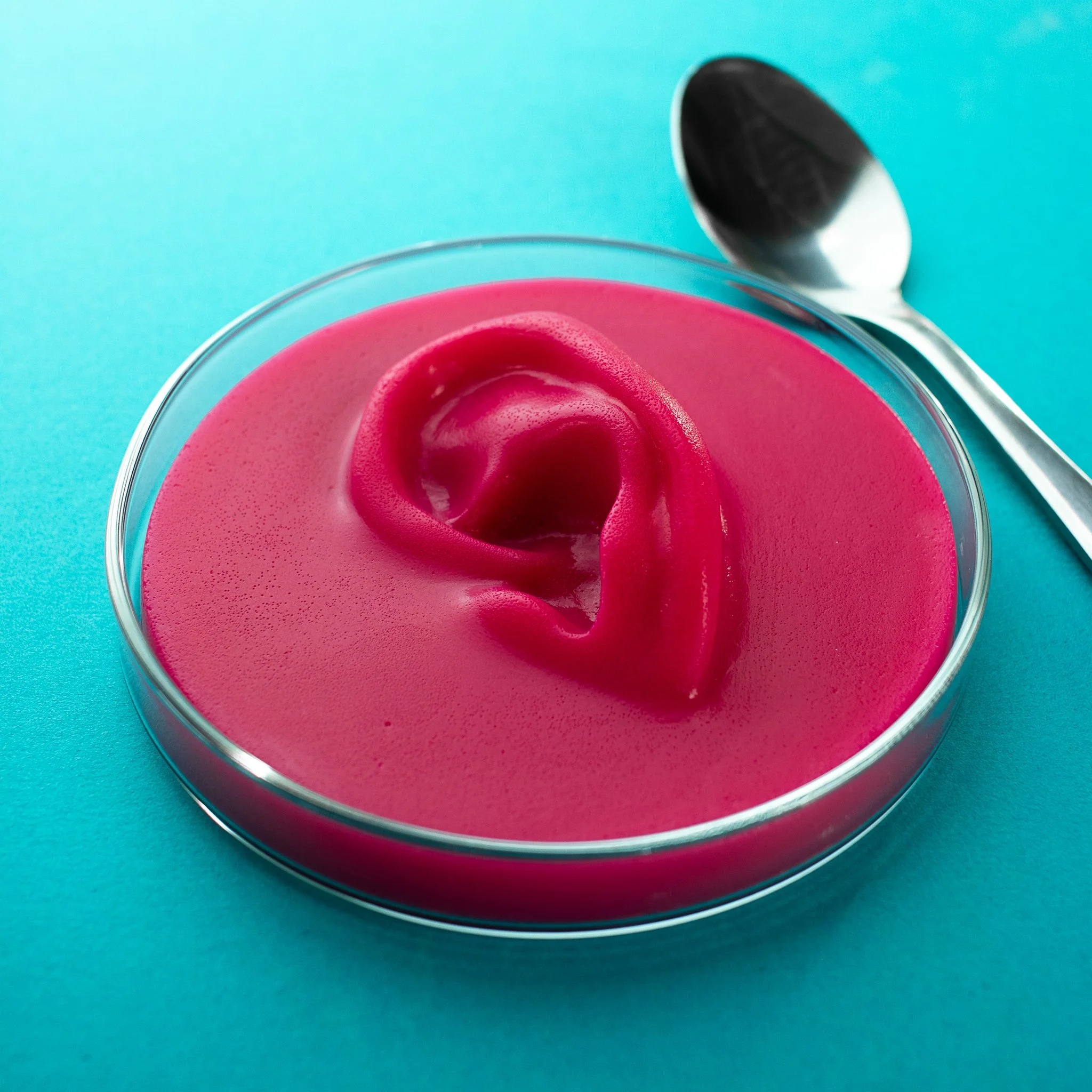 sensoverse Laila Snevele food design mold