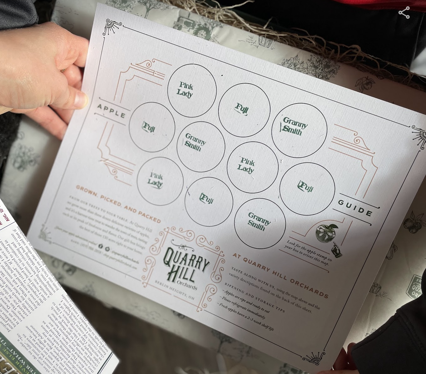 Screen Shot 2024-01-29 at 10.43.36 AM.png