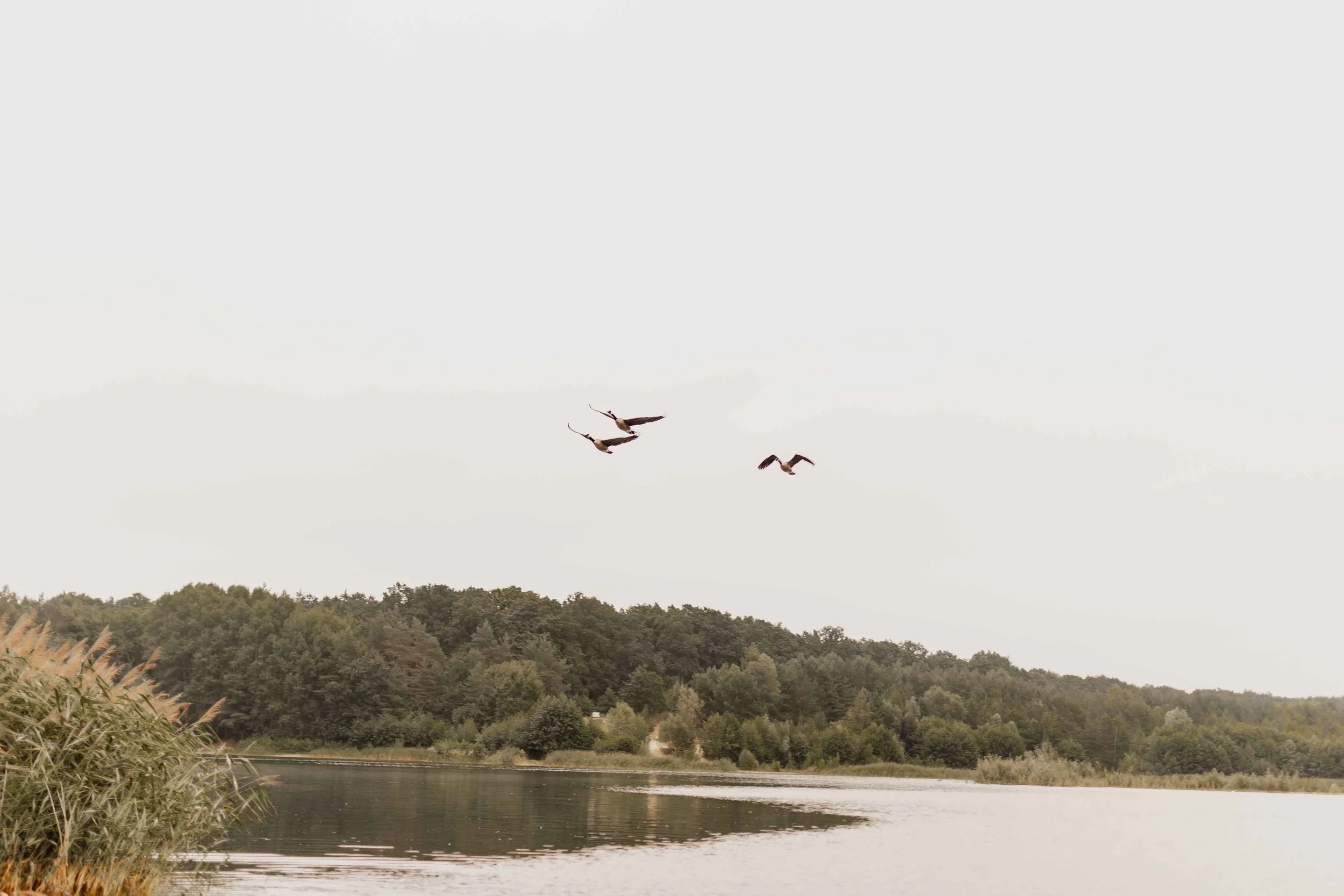 Weitblick über den Oldenstädter See in Uelzen mit Vögeln im Flug – natürliche Kulisse für ein lesbisches Paarshooting
