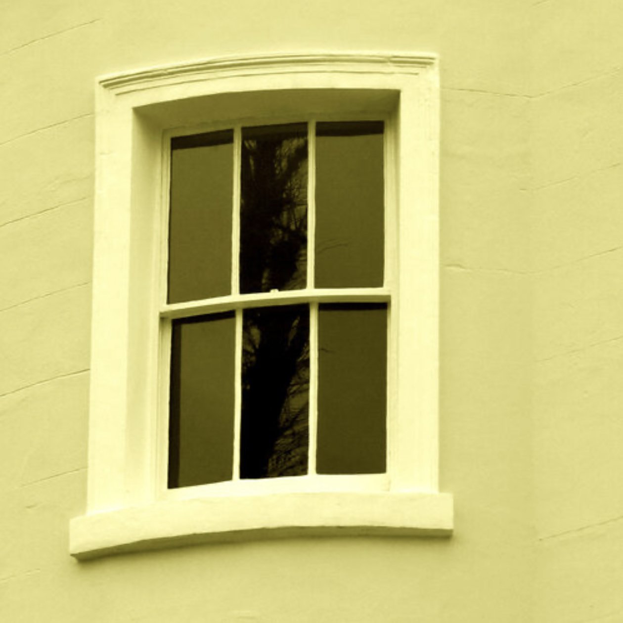 IMG_8102.jpeg