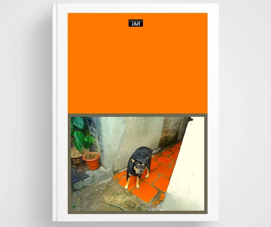 printable-monkeys-card-set-make-your-own-animal-cards-and-postcards