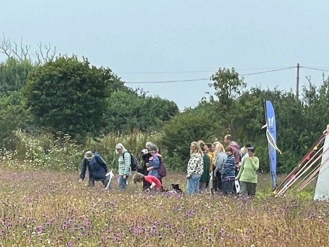 Spring Celebration of Nature on the Lizard