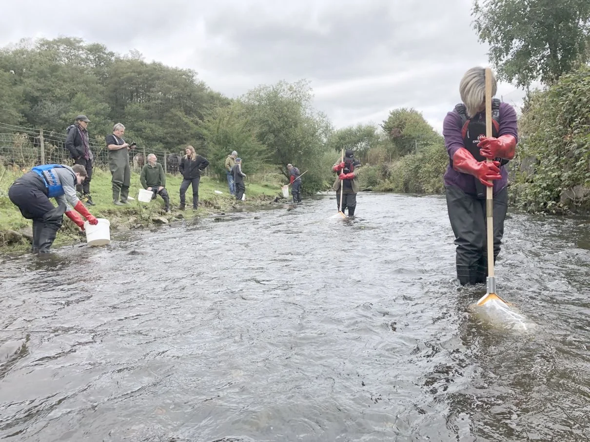 Riverfly Training Oct