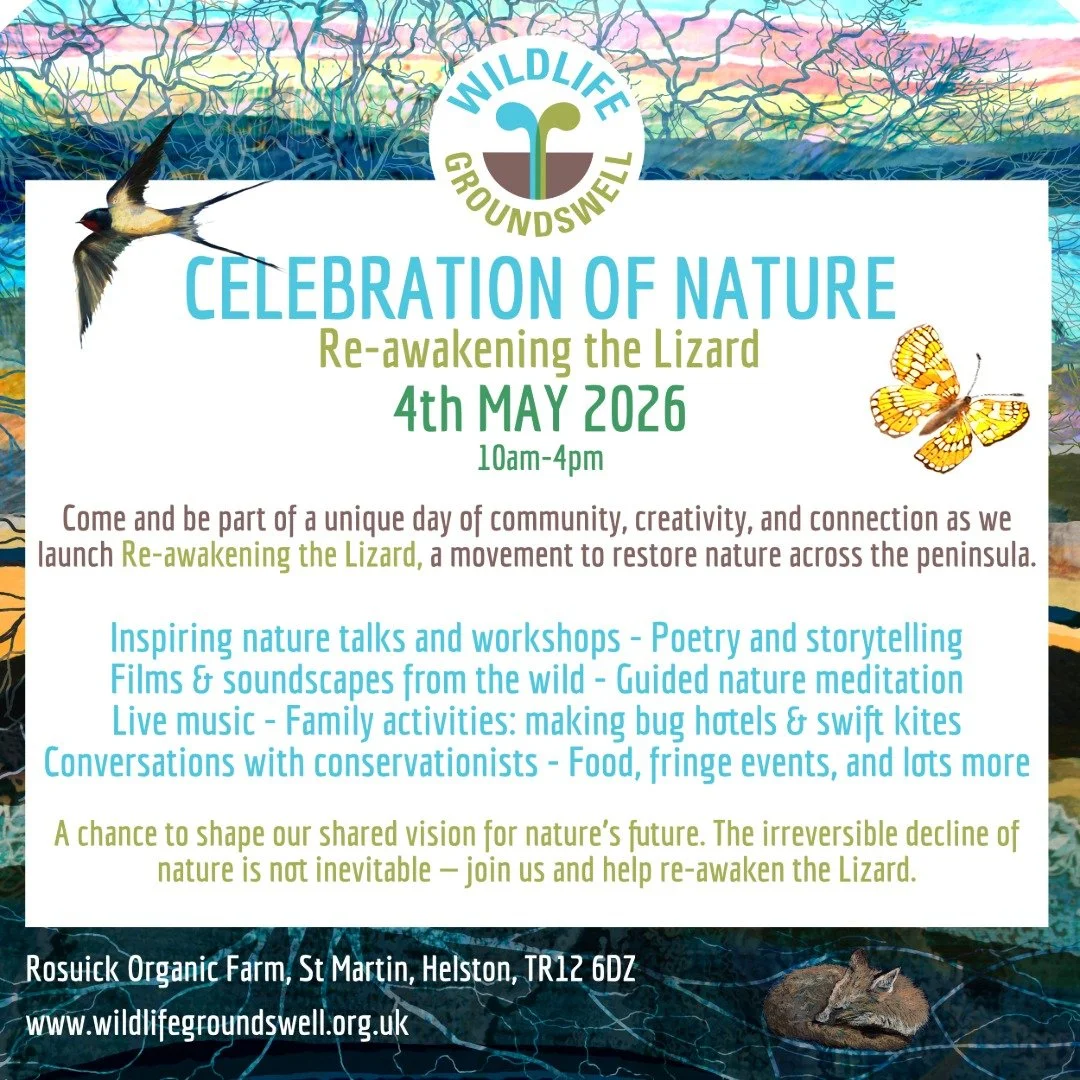 Re-awakening the Lizard CELEBRATION OF NATURE