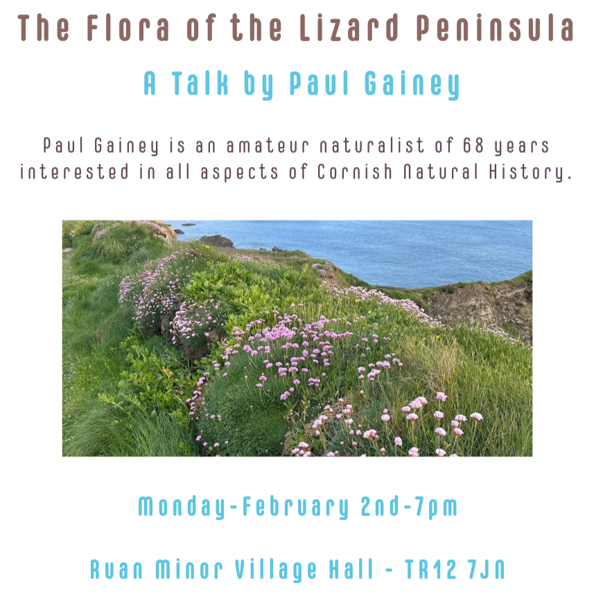 The flora of the Lizard Peninsula - A Talk by Paul Gainey Monday February 2nd 7pm Ruan Minor Village Hall