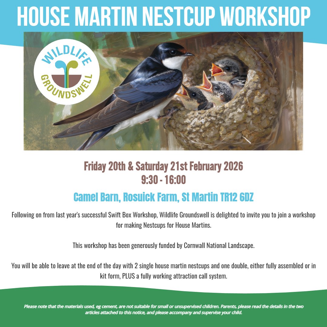 house martin poster.jpg